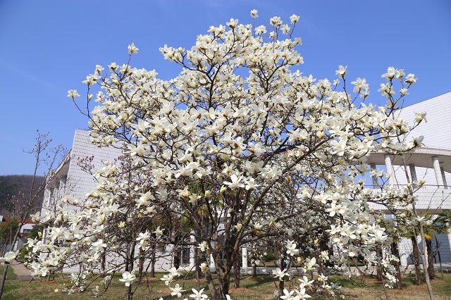 冬日严寒，泵站防冻记