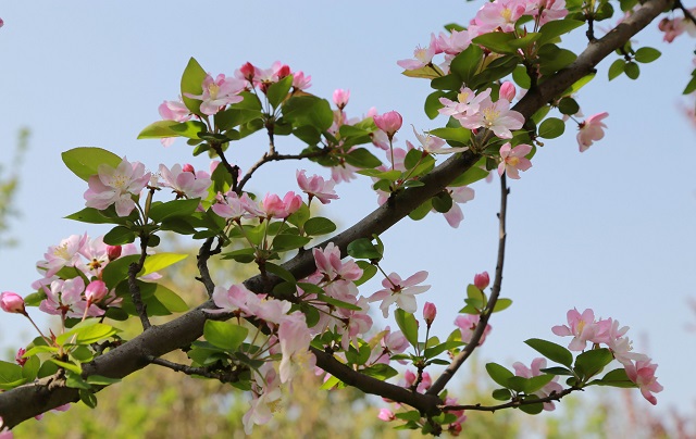 1-7生产例会纪要