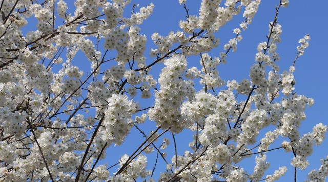 1-7生产例会纪要