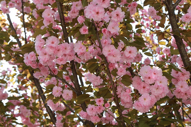 春雨绵绵 岁月漫长