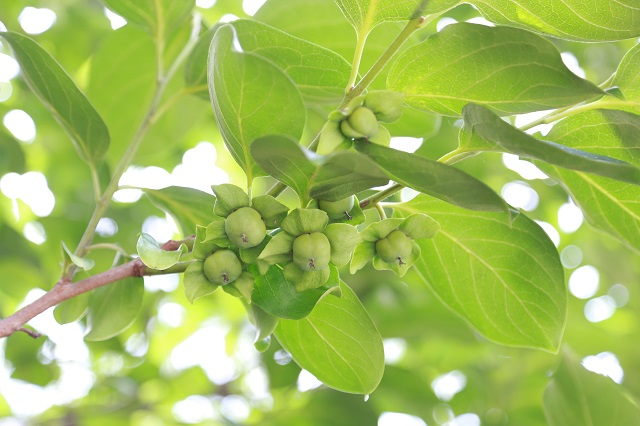 水箱大安装指南