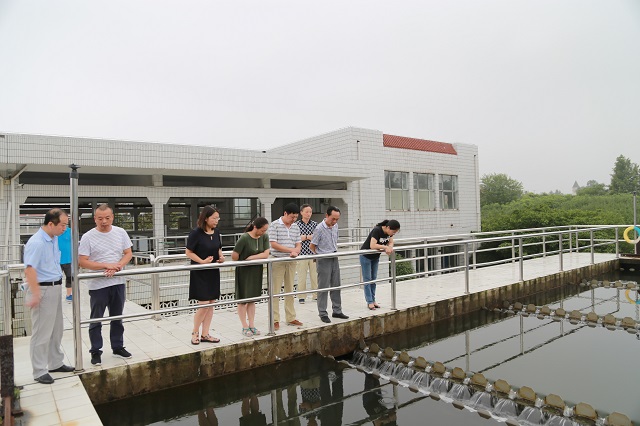 柴油机自吸泵，原理大揭秘！