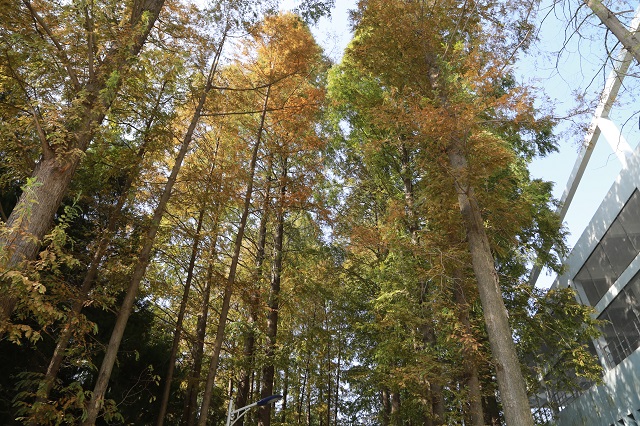 保障地埋水箱，不锈钢选购更安心！