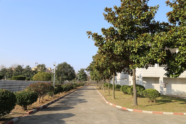 水脉间“窗帘之约” 暖心故事续篇