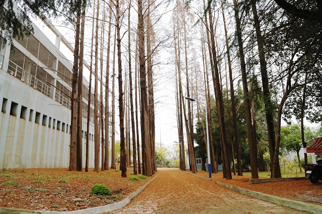 水脉间“窗帘之约” 暖心故事续篇