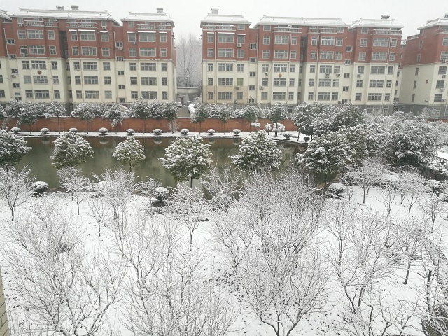 羊山院区——晨起突见雪满园 雪晴云淡日光寒