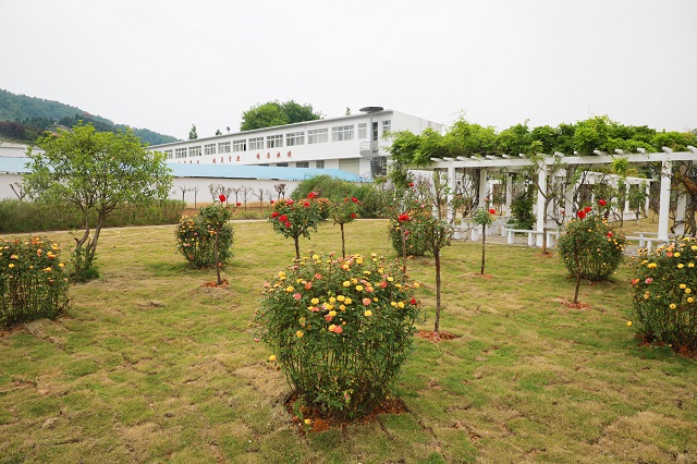 湖东院区——谁言造物无偏处 独遣春光住此中