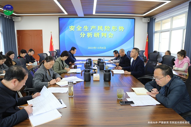 12-8安全生产风险形式分析研判会