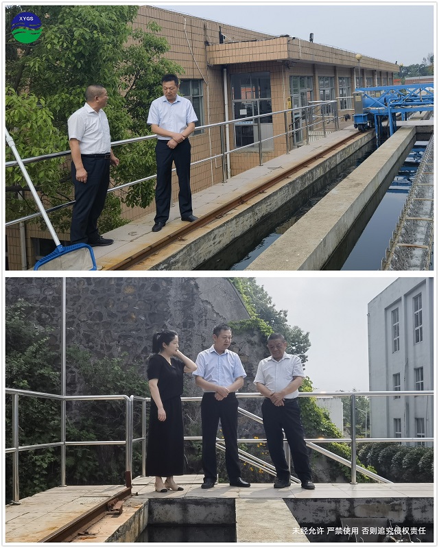 “特别嘉宾” 闪耀主题党日活动